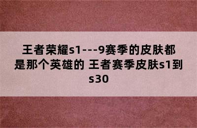 王者荣耀s1---9赛季的皮肤都是那个英雄的 王者赛季皮肤s1到s30